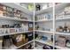Pantry features spacious shelving, providing ample storage for all your groceries and kitchen essentials at 5054 S Advant Ter, Mesa, AZ 85212