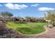 Spacious backyard features lush green grass, mature trees, desert landscaping and views of surrounding homes at 7340 E Conquistadores Dr, Scottsdale, AZ 85255