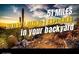 Miles of hiking and biking trails in the desert, steps from your backyard at 921 E Buist Ave, Phoenix, AZ 85042