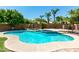 Backyard pool with a spa surrounded by lush landscaping, including palm trees and green foliage at 926 W Grand Caymen Dr, Gilbert, AZ 85233