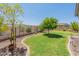 Well-maintained backyard featuring a manicured lawn and mature trees at 12035 W Roy Rogers Rd, Peoria, AZ 85383