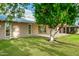 Green backyard featuring lush green lawn, mature trees, and a covered patio area at 18442 N 104Th Ave, Sun City, AZ 85373