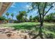 A sprawling green backyard with lush grass, mature trees, privacy fence, and partial view of the home at 2121 S Ventura Dr, Tempe, AZ 85282