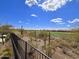Backyard view showcasing the golf course and arid beauty at 3045 W Feather Sound Dr, Anthem, AZ 85086