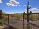 Scenic backyard view featuring a golf course, enhanced by a Saguaro cactus at 3045 W Feather Sound Dr, Anthem, AZ 85086