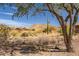 Backyard view showcasing desert landscape and distant mountain views at 3045 W Feather Sound Dr, Anthem, AZ 85086