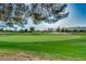 Picturesque golf course with lush green grass, mature trees, and a scenic mountain backdrop at 4401 E Walatowa St, Phoenix, AZ 85044