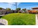 Large grassy backyard featuring beautiful landscaping and a block fence for added privacy at 8519 E Rancho Vista Dr, Scottsdale, AZ 85251