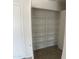 Walk-in pantry with ample shelving for storage at 9318 E El Paso St, Mesa, AZ 85207