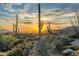 Desert landscape with a striking sunset and iconic cacti, showing the beauty of the region at 10020 E Relic Rock Rd # 18, Scottsdale, AZ 85262