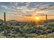 Expansive view of desert landscaping with mature Saguaro cactus at 10020 E Relic Rock Rd # 18, Scottsdale, AZ 85262