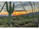 Beautiful desert landscape with mature Saguaro cactus and mountain views at 10020 E Relic Rock Rd # 18, Scottsdale, AZ 85262