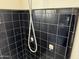 A shower is shown with black tile and a mounted shower head at 1757 W Argon St, Mesa, AZ 85201