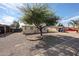 Quaint single-story home featuring a mature shade tree and low-maintenance gravel landscaping at 1757 W Argon St, Mesa, AZ 85201