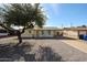 Charming single-story home with well-maintained front yard and mature tree providing ample shade at 1757 W Argon St, Mesa, AZ 85201
