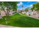 Expansive courtyard view with lush green lawns and mature trees at 1920 W Lindner Ave # 249, Mesa, AZ 85202