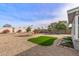 Gravel-covered backyard featuring a manicured lawn, mature tree, and a low brick wall to define planting areas at 19805 N 99Th Dr, Sun City, AZ 85373