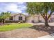 Charming single-story home featuring a well-manicured lawn and desert landscaping at 20329 E Bronco Dr, Queen Creek, AZ 85142