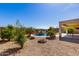 Beautifully landscaped backyard with a sparkling pool, lush greenery, and a covered patio area at 27621 N 174Th Dr, Surprise, AZ 85387