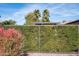 Privacy fence with lush green landscaping in a well-maintained backyard at 29192 N 129Th Ave, Peoria, AZ 85383