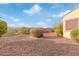 Desert landscaped backyard with wrought iron fence, mature trees, and privacy bushes at 30056 N 129Th Ave, Peoria, AZ 85383
