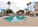 Large community pool surrounded by palm trees and lounge chairs for relaxing at 1901 W Mulberry Dr, Chandler, AZ 85286