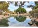 Picturesque pond view showcasing houses and lush greenery reflecting in the water at 1901 W Mulberry Dr, Chandler, AZ 85286