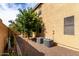 Exterior side view featuring a producing orange tree and gravel ground cover at 32795 N Hidden Canyon Dr, San Tan Valley, AZ 85144