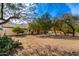 Large backyard featuring desert landscaping and mature shade trees at 8310 W Daley Ln, Peoria, AZ 85383