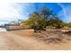 Expansive property with mature trees and privacy fencing at 8310 W Daley Ln, Peoria, AZ 85383
