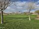 Expansive green space with mature trees offers a peaceful retreat and recreational opportunities at 21503 E Alyssa Ct, Queen Creek, AZ 85142