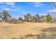 Expansive community park with mature trees, covered picnic area, and walking paths under a bright blue sky at 16029 N 171St Dr, Surprise, AZ 85388