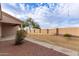 Fenced-in backyard with a large grassy area and desert landscaping provides privacy at 2101 S Yellow Wood -- # 22, Mesa, AZ 85209