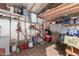 View of a well-organized storage shed interior with shelving and various household items at 3408 W Taro Ln, Phoenix, AZ 85027