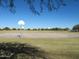 Community outdoor basketball court on a sunny day with grass and blue skies at 3896 E Aragonite Ln, San Tan Valley, AZ 85143