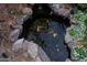 Close-up view of a koi pond, showcasing colorful fish, smooth rocks, and delicate white flowers surrounding it at 4032 E Jojoba Rd, Phoenix, AZ 85044