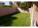 Fenced backyard features lush grass and mature trees, perfect for outdoor enjoyment at 455 W Gary Ave, Gilbert, AZ 85233