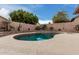 Desert backyard oasis with a unique shaped pool, stone accents, and privacy landscaping at 2033 E Tecoma Rd, Phoenix, AZ 85048