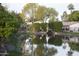 Picturesque pond with lush greenery and a charming waterfall at 971 E Driftwood Dr, Tempe, AZ 85283