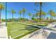 Beautiful outdoor bocce ball court surrounded by lush palm trees and landscaping at 15712 W Eucalyptus Ct, Surprise, AZ 85374