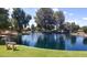 Community pond with a gentle waterfall feature surrounded by mature trees and green lawns at 1734 E Commonwealth Cir, Chandler, AZ 85225