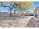 Shaded backyard featuring mature trees, hammock, string lights, and comfortable seating areas, perfect for relaxation at 19061 N 5Th Ave, Phoenix, AZ 85027