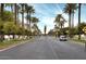 Street view lined with many palm trees and a sidewalk at 240 S Old Litchfield Rd # 206, Litchfield Park, AZ 85340