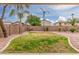 Backyard featuring grass, gravel, desert landscaping, a block wall, and palm trees at 2551 E Kent Ave, Gilbert, AZ 85296