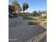 Landscaped common area featuring desert landscaping, mature trees, and walking paths at 2837 W Angela Dr, Phoenix, AZ 85053