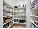 Pantry features lots of shelving for storage and organization of food and kitchen supplies at 29348 N Clear Ridge Rd, Rio Verde, AZ 85263