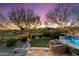 Beautiful backyard featuring lush landscaping and a sparkling pool at 37080 N 109Th Way, Scottsdale, AZ 85262