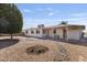 Charming backyard featuring desert landscaping with mature tree and covered patio perfect for relaxing or entertaining outdoors at 4662 E Escondido Ave, Mesa, AZ 85206