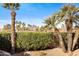 Landscaped backyard with mature palm trees, shrubs, and a view of a desert mountain at 8100 E Camelback Rd # 43, Scottsdale, AZ 85251