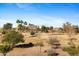 Scenic view of the golf course, trees, and desert mountain in the distance at 8100 E Camelback Rd # 43, Scottsdale, AZ 85251